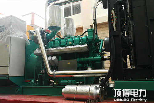 里卡多广西顶博发电机组制造准备出厂